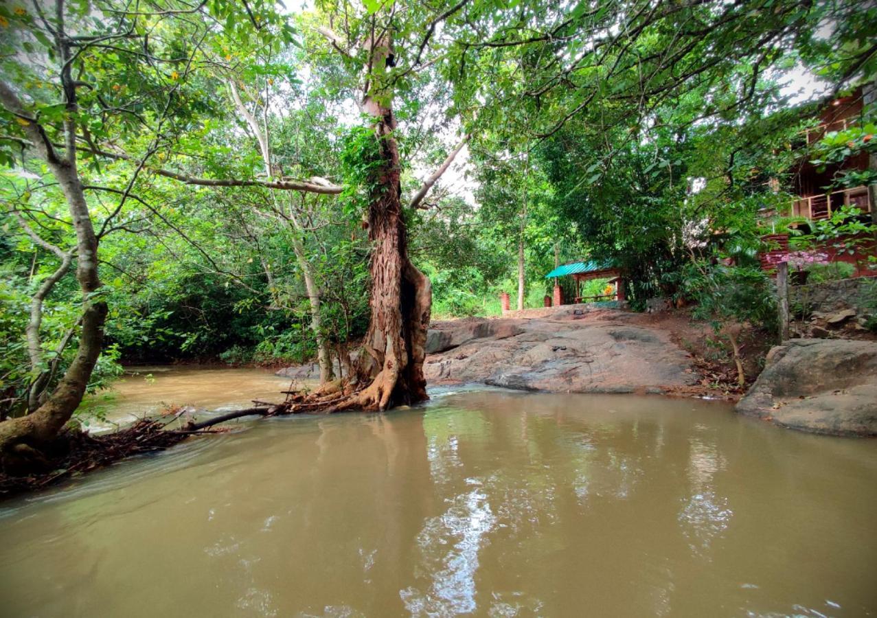 Sigiriya River Side Villa エクステリア 写真