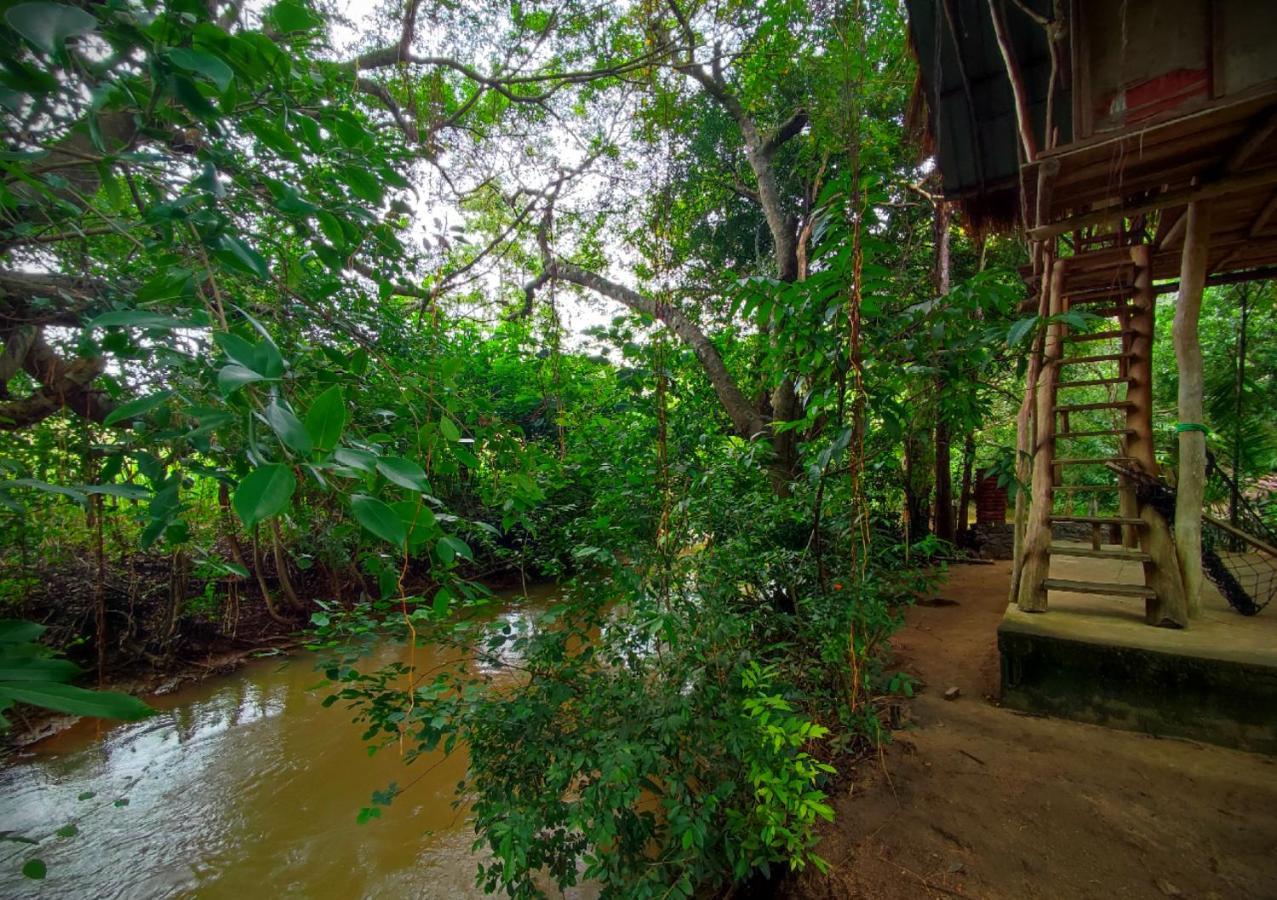 Sigiriya River Side Villa エクステリア 写真