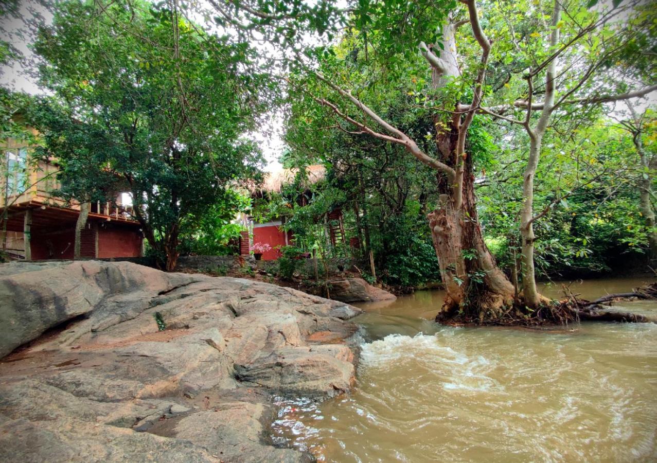 Sigiriya River Side Villa エクステリア 写真