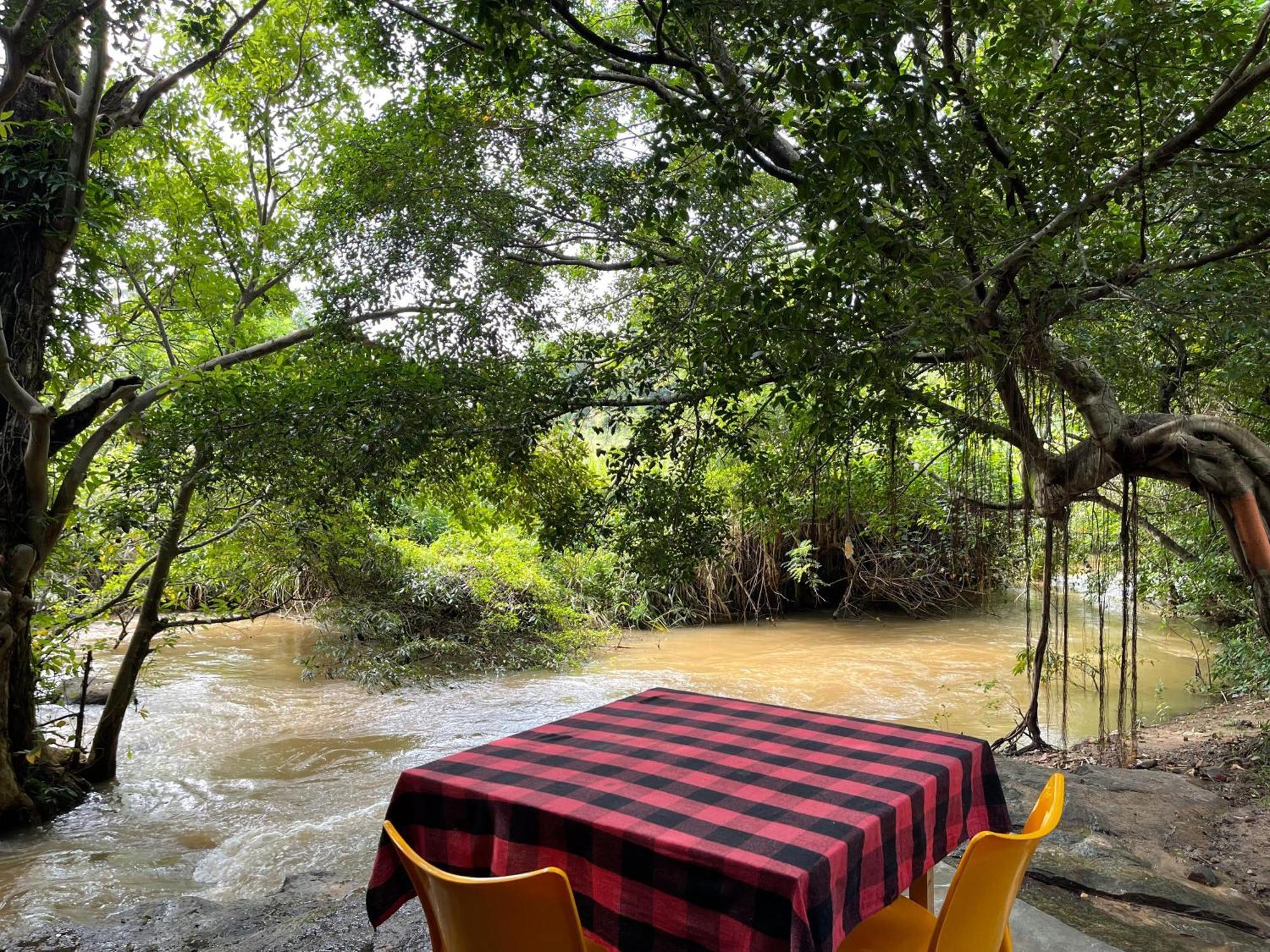 Sigiriya River Side Villa エクステリア 写真
