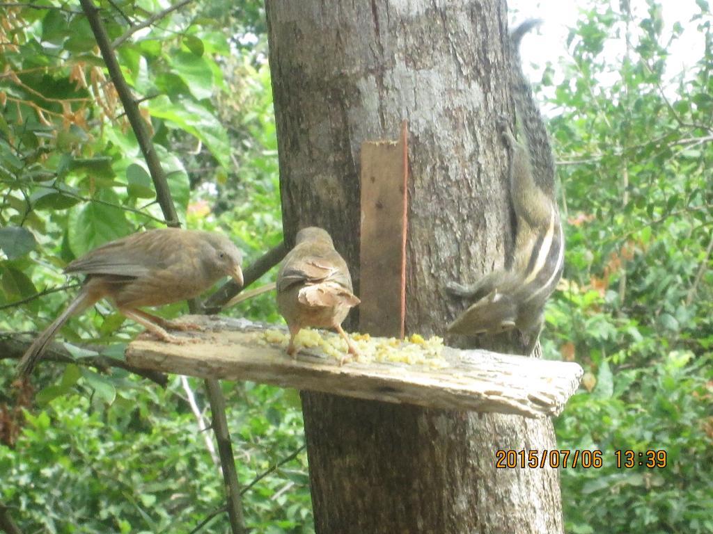 Sigiriya River Side Villa 部屋 写真