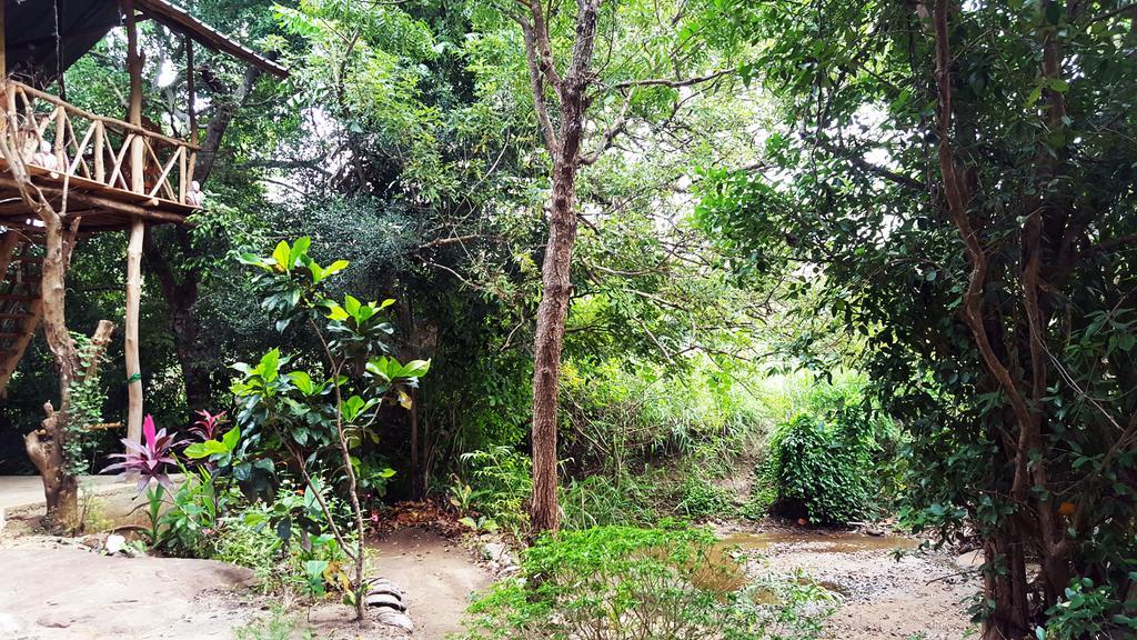 Sigiriya River Side Villa エクステリア 写真